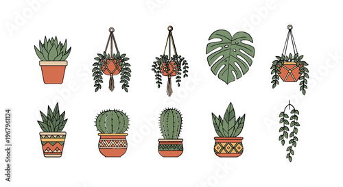 Collection of Various Potted Plants and Hanging Greenery.
