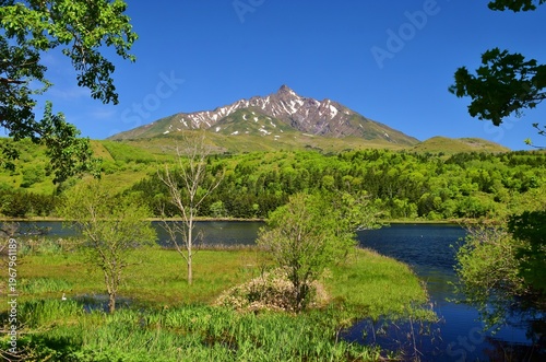 Wallpaper Mural 利尻島　初夏の風景 Torontodigital.ca