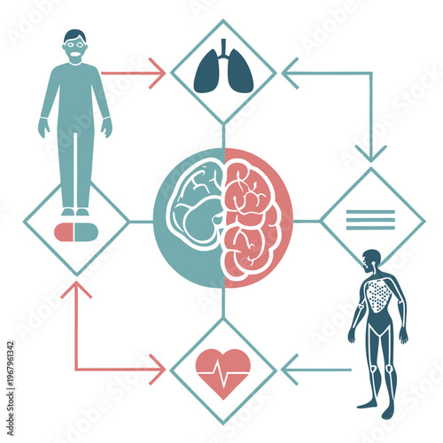 Human health system connections illustrating whole body medicine and organ interactions with brain lungs heart and person icons.