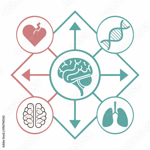 Central brain surrounded by interconnected organs dna and body icons representing holistic health and medical research concept.