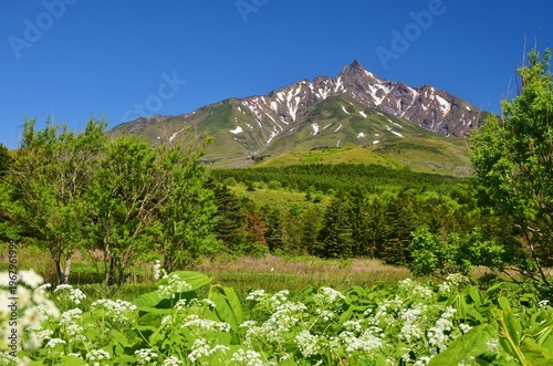 Wallpaper Mural 利尻島　初夏の風景 Torontodigital.ca