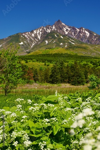 Wallpaper Mural 利尻島　初夏の風景 Torontodigital.ca