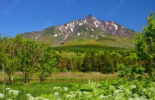 Wallpaper Mural 利尻島　初夏の風景 Torontodigital.ca