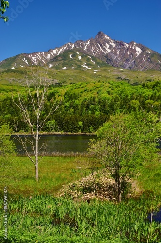 Wallpaper Mural 利尻島　初夏の風景 Torontodigital.ca