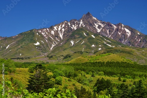Wallpaper Mural 利尻島　初夏の風景 Torontodigital.ca