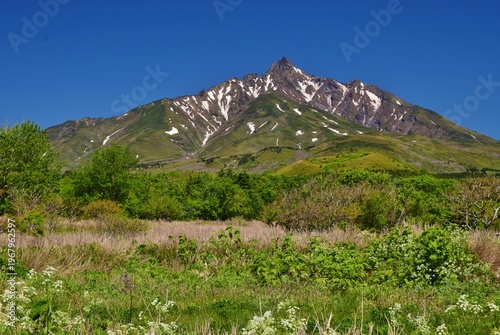 Wallpaper Mural 利尻島　初夏の風景 Torontodigital.ca