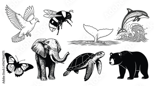 Collection of diverse wild animals in black and white sketch style.