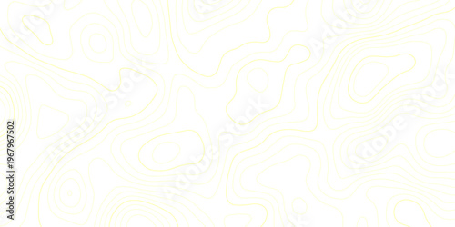 Smooth curves and organic flow create a modern, clean, and sophisticated design for tech or nature themes.Minimal abstract topographic contour lines with white background, resembling elevation maps.