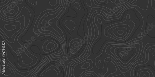 Monochrome elevation map design with fine contour lines on a black surface, blending modern aesthetics with natural geological inspiration.	