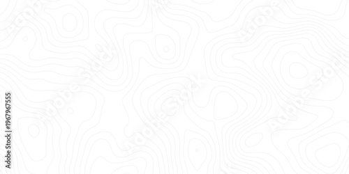 Smooth curves and organic flow create a modern, clean, and sophisticated design for tech or nature themes.Minimal abstract topographic contour lines with white background, resembling elevation maps.