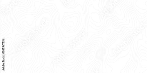 Smooth curves and organic flow create a modern, clean, and sophisticated design for tech or nature themes.Minimal abstract topographic contour lines with white background, resembling elevation maps.