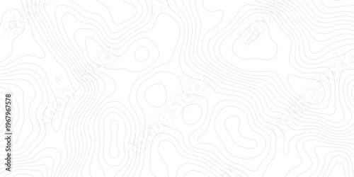 Smooth curves and organic flow create a modern, clean, and sophisticated design for tech or nature themes.Minimal abstract topographic contour lines with white background, resembling elevation maps.