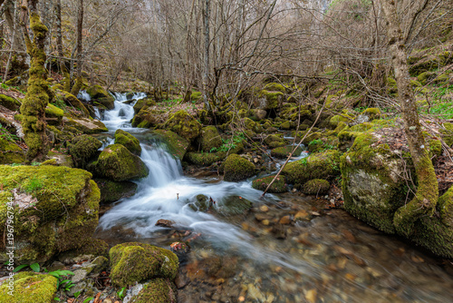 Valdecuevas stream crossing the forest with moss-covered rocks, Cabornera de Gordón, León, Spain.