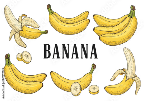 Group of fresh yellow bananas and sliced bananas on a white background, delicious fruit illustration