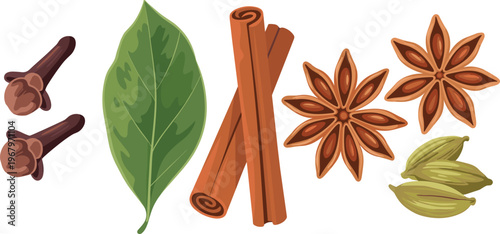 Vector illustration of aromatic spices including cinnamon cloves cardamom bay leaf and star anise isolated on white background for culinary design