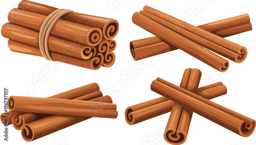 Vector illustration of cinnamon sticks bundles and pieces isolated on white background representing aromatic spice ingredient for cooking design