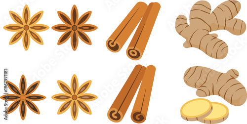 Vector illustration of spice collection including cinnamon sticks star anise and ginger root isolated for culinary ingredient design use