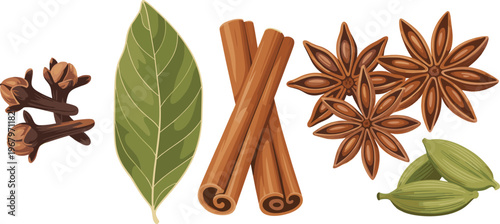 Vector illustration of spice collection featuring cinnamon sticks cloves cardamom bay leaf and star anise isolated for culinary design
