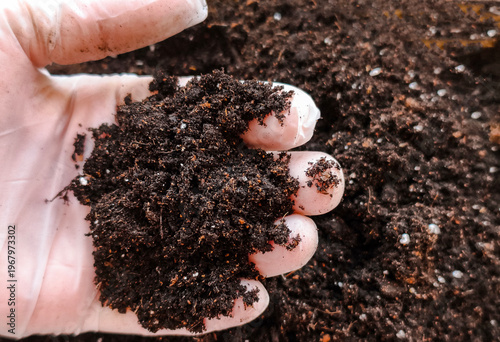 Photos Gloved hand grasping nutrient-rich dark soil, ideal for healthy plant growth and home gardening