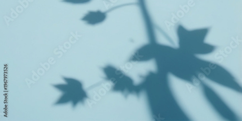 An abstract composition showcases the delicate shadow of leaves and a slender stem, gracefully cast upon a pale, inviting surface.