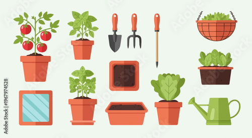 Tomato plant in a pot with fruit.