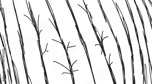 A row of twigs or stems of dry plants