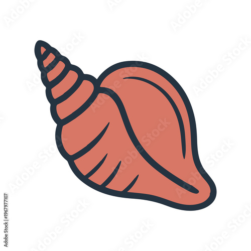 Tropical Sea Shell Illustration