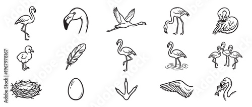 Collection of hand-drawn flamingo illustrations in various poses and related elements, presented in a simple, clean line art style