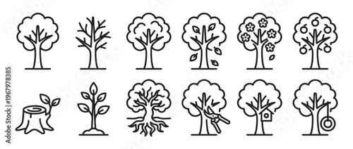 Collection of twelve black outline tree icons showing different stages of growth, seasons, and activities