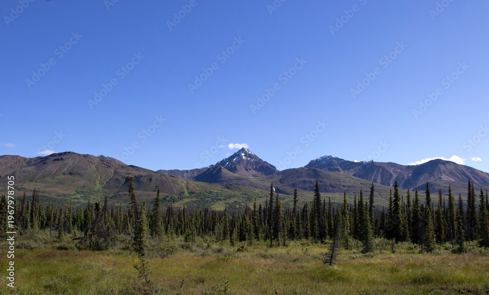 Obraz premium Jagged mountains on the Denali Highway