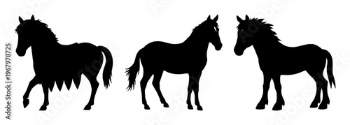 Professional leatherwork stitching pony set with solid black silhouette against white background featuring leatherwork, stitching, pony with artisan craft and trade