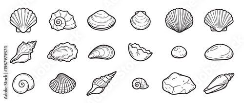 Various hand-drawn black and white seashells, rocks, and sea stones are arranged neatly in rows, showcasing diverse marine life elements