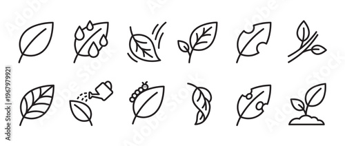Collection of black outline leaf icons depicting various stages and conditions of plant life, from growth to decay