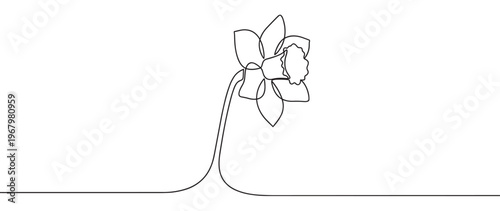 Single continuous line drawing of a delicate daffodil flower with petals and a trumpet-shaped corona