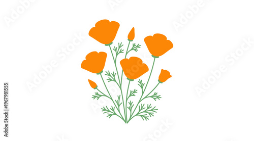 California Poppy Vector Illustration, Orange Golden Wildflowers Flat Design Isolated on White
