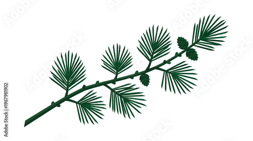 Stylized 3D Pine Branch with Evergreen Needles and Cones Isolated on White Background