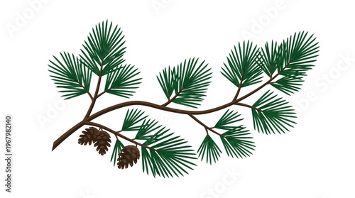Pine Branch Illustration with Green Needles and Pine Cones Isolated on White Background