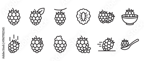 Collection of twelve black outline raspberry icons depicting various forms and actions of the fruit