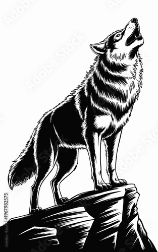 Majestic howling grey wolf standing proudly on a high mountain peak rock cliff at night under the moon, beautiful wild predator animal vector illustration, symbol of freedom, strength, loyalty and nat