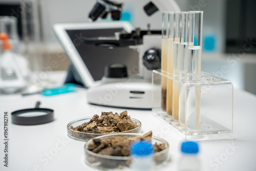 scientist, earth science, natural resource sustainability, soil minerals, laboratory testing, laboratory experiments, testing for chemical residues, Environmental science