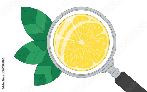 A vibrant yellow lemon slice examined under a magnifying glass with fresh green citrus leaves isolated on a white background signifying healthy nutrition, food quality analysis, freshness and pure con
