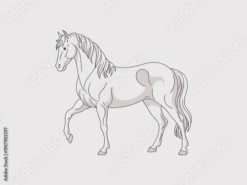 A majestic white horse standing in a elegant dressage pose shown as a clean vector line art illustration on a neutral grey background representing equestrian grace ideal for athletic logos or artistic