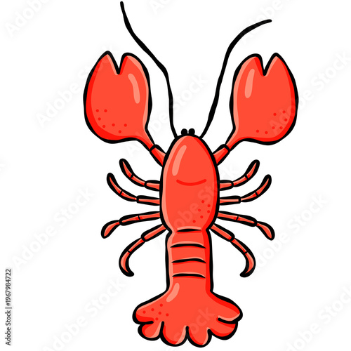 Cute hand drawn lobster doodle graphic element for beach summer