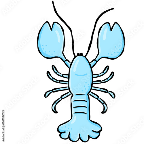 Cute hand drawn lobster doodle graphic element for beach summer