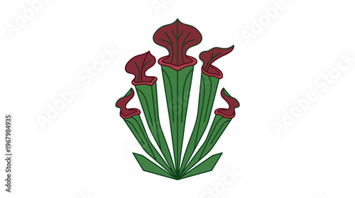 Minimalist Pitcher Plant Illustration, Sarracenia Carnivorous Plant Graphic Icon, Stylized Botanical Vector Art on White Background