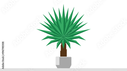 Geometric Minimalist Potted Fan Palm Illustration on White Background
