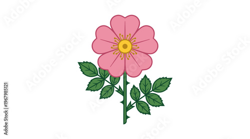 Pink Wild Rose Vector Illustration - Flat Design Dog Rose Flower Icon with Green Leaves and Thorny Stem Isolated on White Background