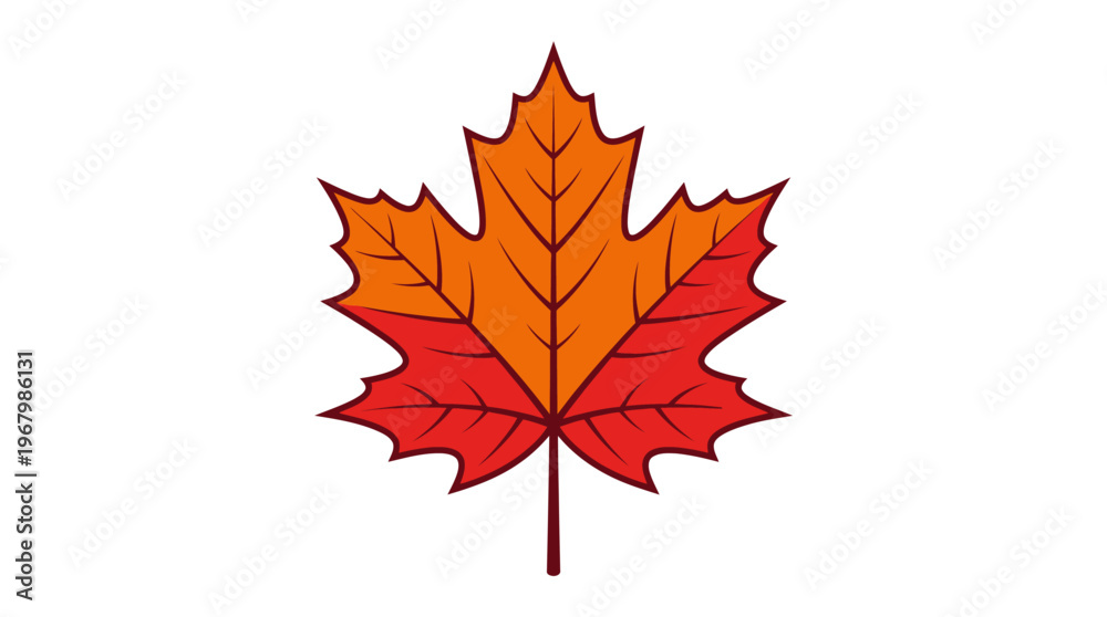 Fototapeta premium Stylized Maple Leaf Vector Illustration in Autumn Colors Orange and Red Isolated on White Background