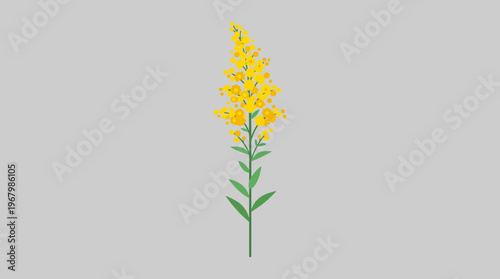 Yellow Goldenrod Wildflower Vector Illustration - Minimalist Botanical Flat Design Icon