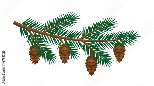 Evergreen Fir Branch with Pine Cones Vector Illustration Isolated on White Background